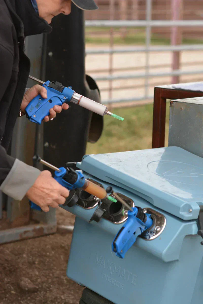 Why Ranchers Use VaxMate Livestock Vaccine Cooler