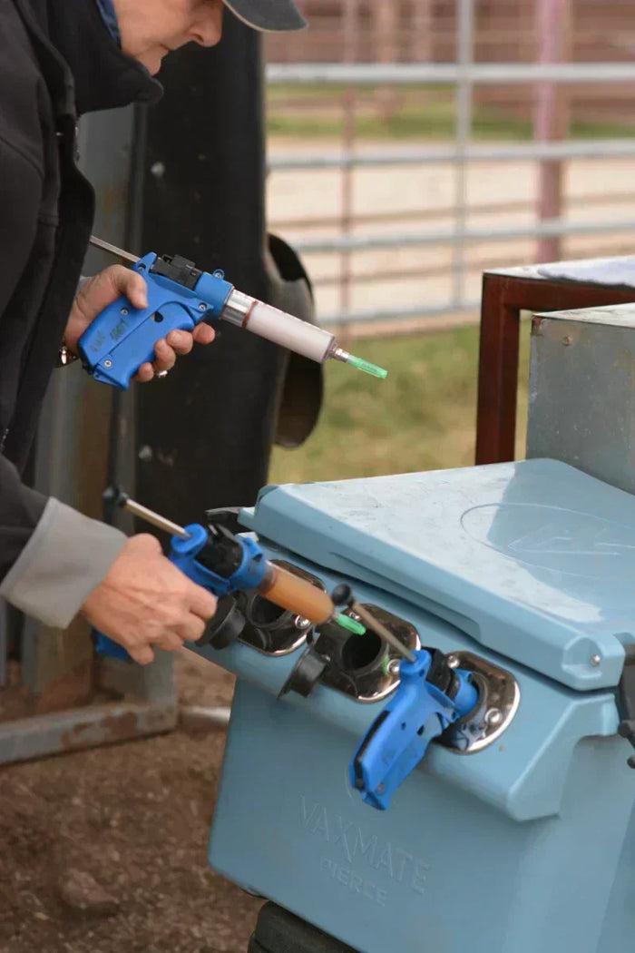 Why Ranchers Use VaxMate Livestock Vaccine Cooler