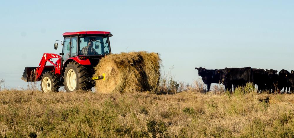 Two kids climb on a pickup truck’s tailgate as cows graze in a green pasture nearby under a cloudy sky.