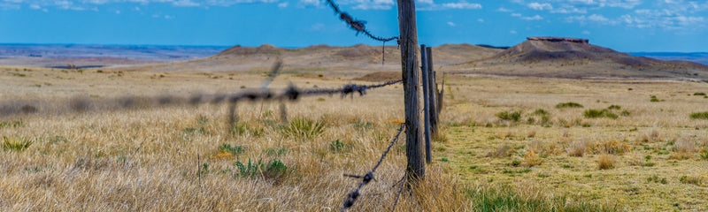 Fence & Gate