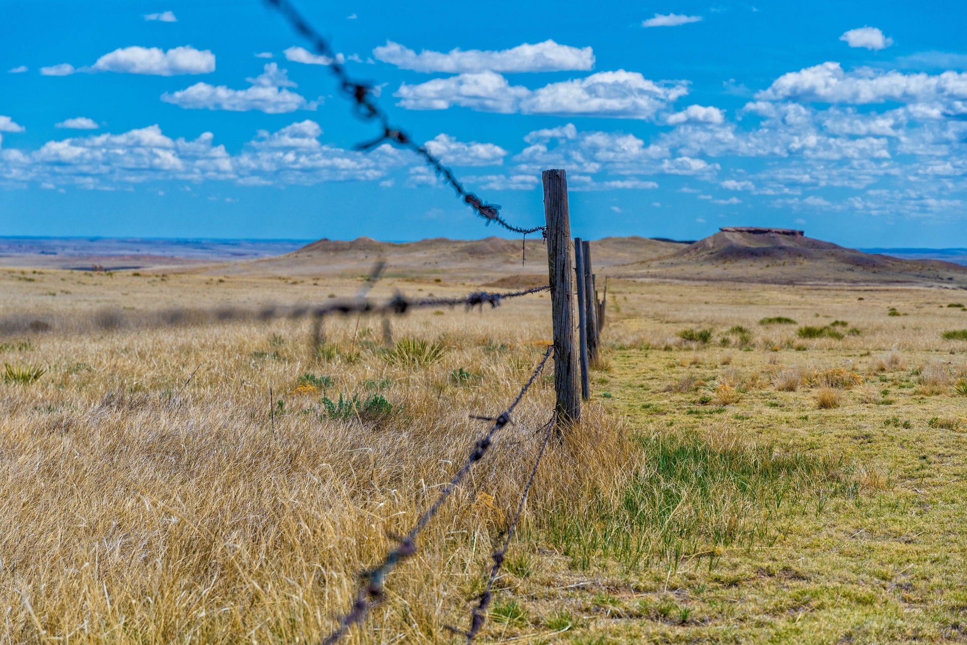 Fence & Gate