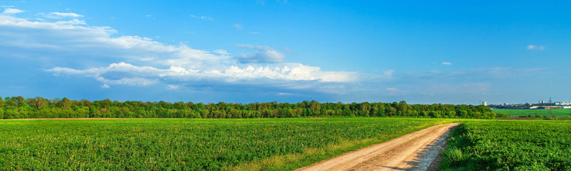 Land Owner