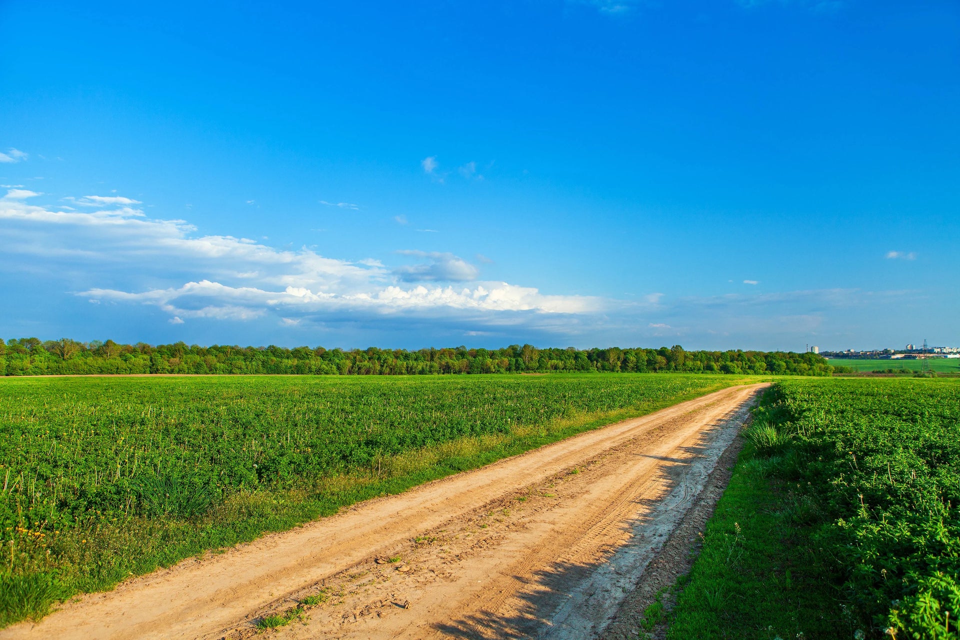 Land Owner