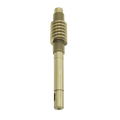 Worm Gear