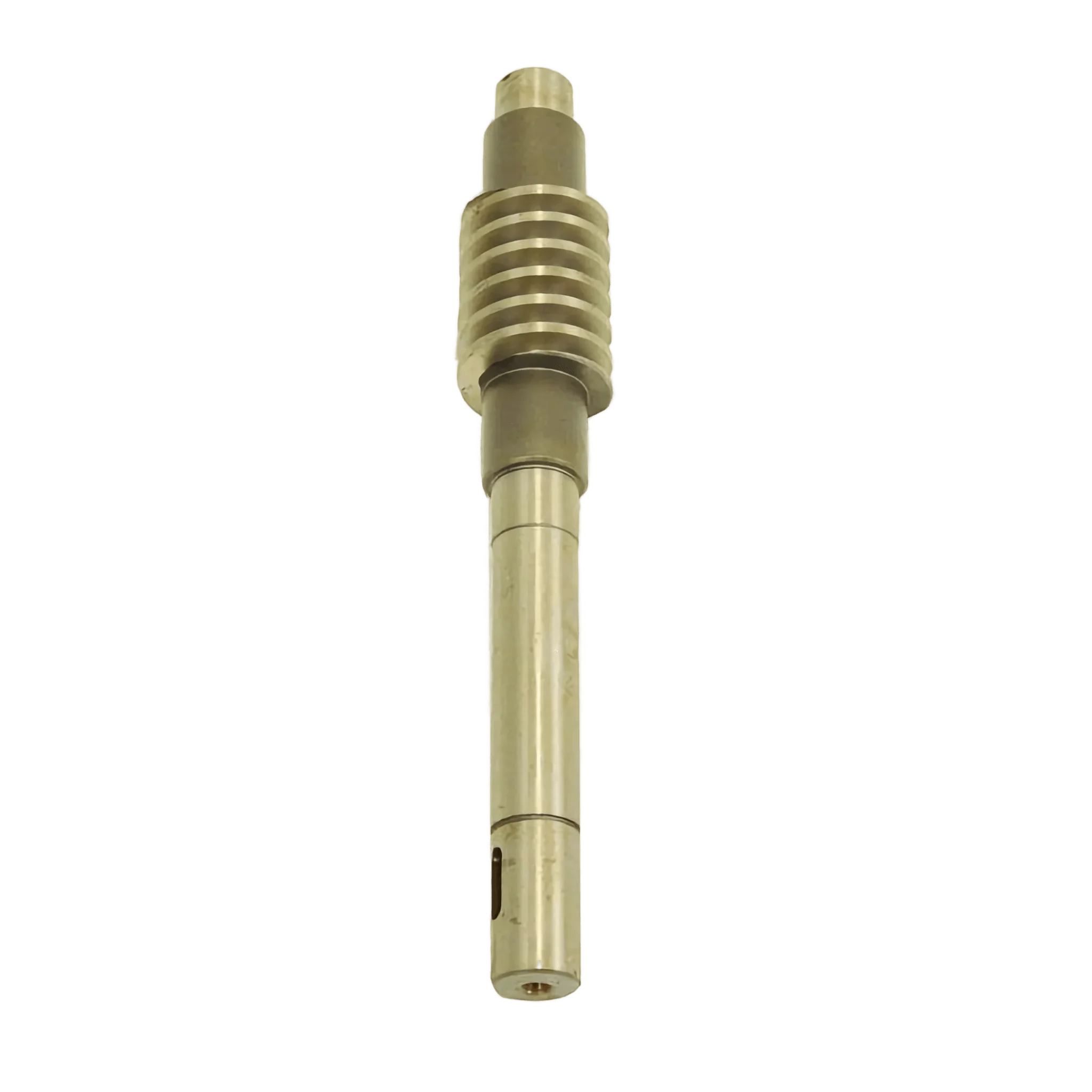 Worm Gear