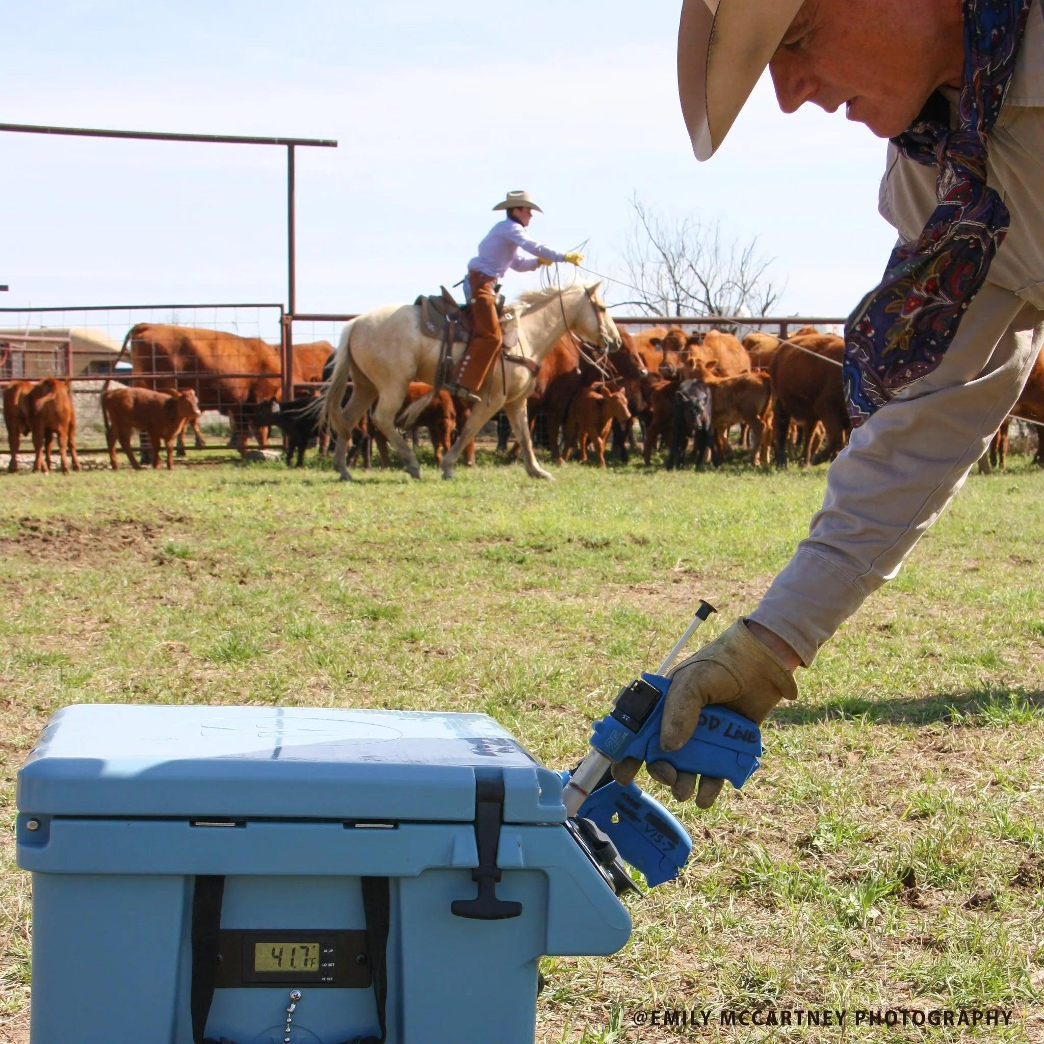 A cowboy scans a tag on a VaxMate Vaccine Cooler by Ningbo Kuer Co., LTD CoolKayak; cattle and another rider are in the background, ensuring safe vaccine storage on the ranch.