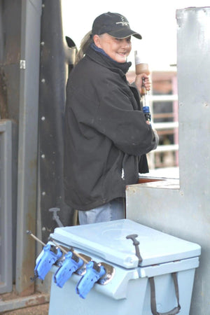 A woman in a black jacket and cap holds a bottle; in the foreground is the PIERCE VaxMate Vaccine Cooler with three blue vet supplies attached.